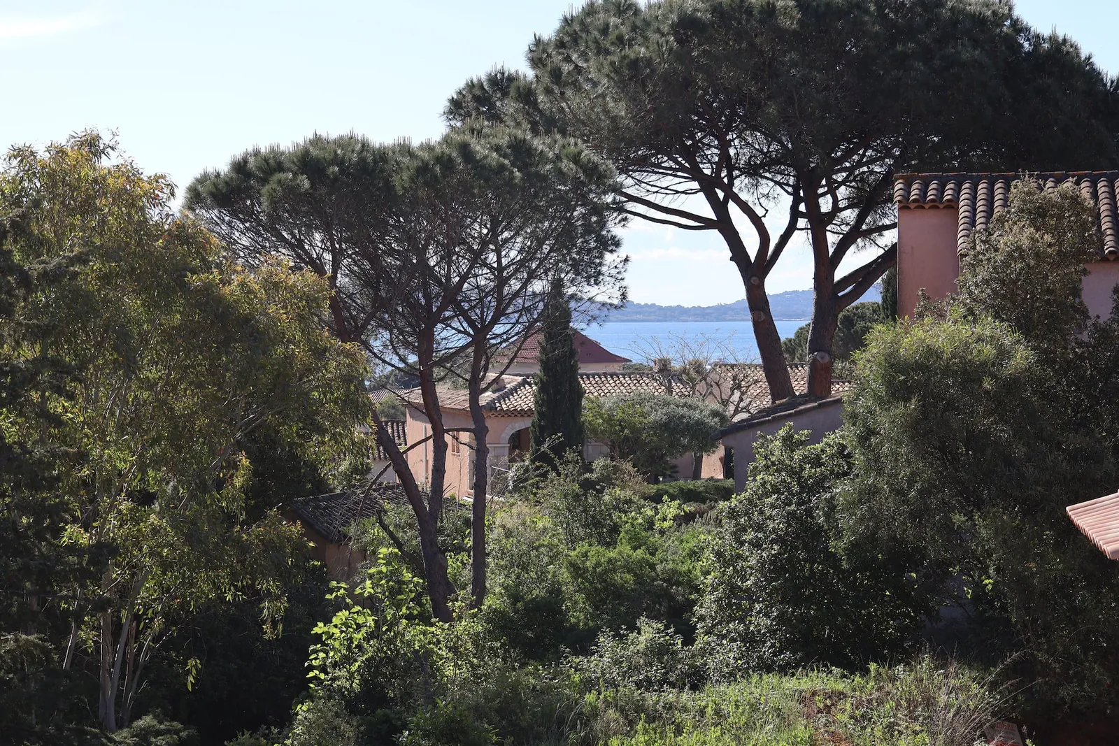 La vue sur les pins et la mer