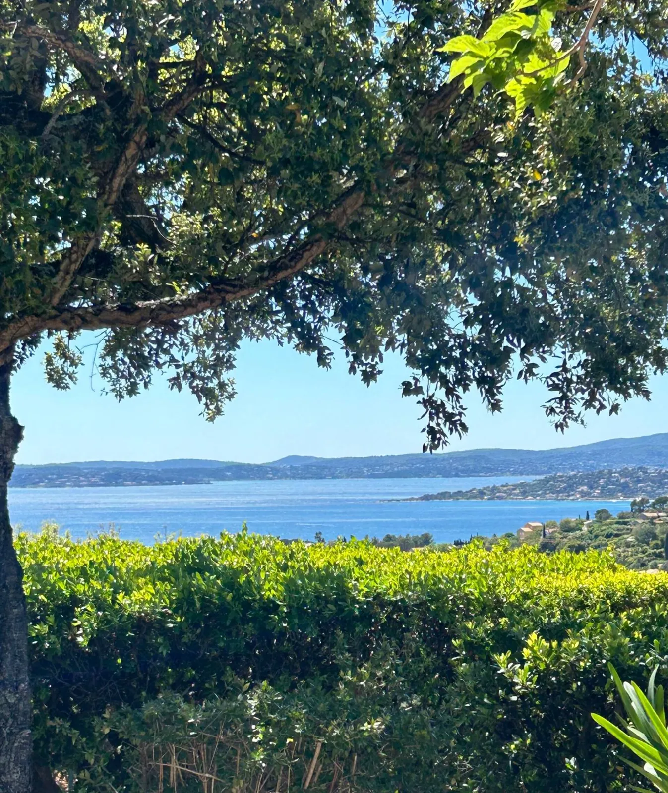 La vue sur la baie, sous les arbres