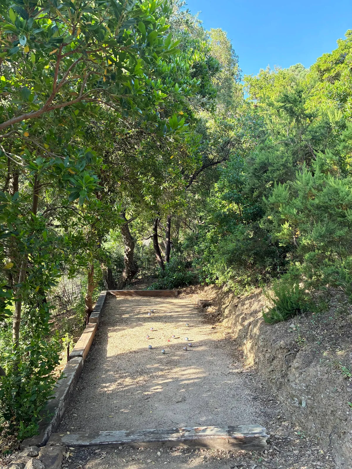 Le chemin du jardin